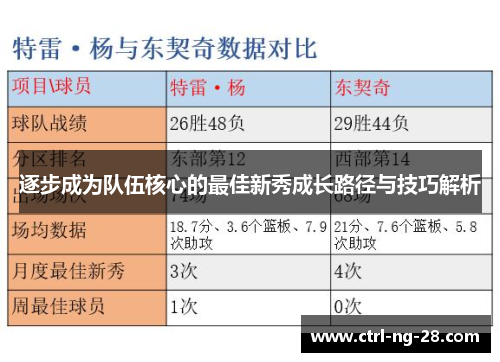 逐步成为队伍核心的最佳新秀成长路径与技巧解析 逐步成为队伍核心的最佳新秀成长路径与技巧解析