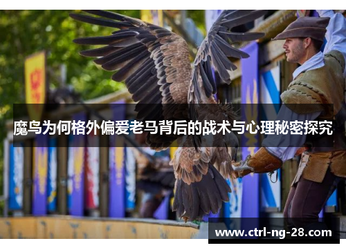 魔鸟为何格外偏爱老马背后的战术与心理秘密探究