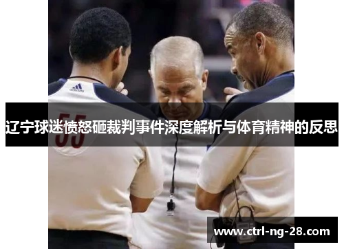 辽宁球迷愤怒砸裁判事件深度解析与体育精神的反思