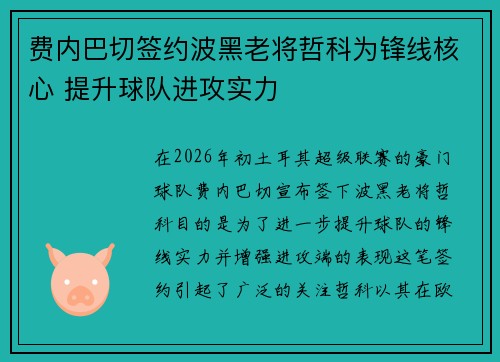费内巴切签约波黑老将哲科为锋线核心 提升球队进攻实力