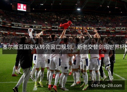 塞尔维亚国家队转会窗口规划，新老交替剑指世界杯
